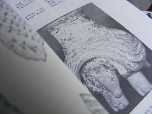 biblioteca 069 copy.jpg